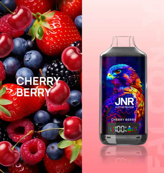 JNR Falcon X 18000 (0/2/5% Nic) | 0.6Ω Mesh Coil-Disposable Vape 18000 Puffs -950mAh Battery, 24ml E-liquid, Multiple Nicotine 11 Flavors