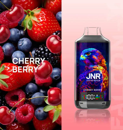 JNR Falcon X 18000 (0/2/5% Nic) | 0.6Ω Mesh Coil-Disposable Vape 18000 Puffs -950mAh Battery, 24ml E-liquid, Multiple Nicotine 11 Flavors