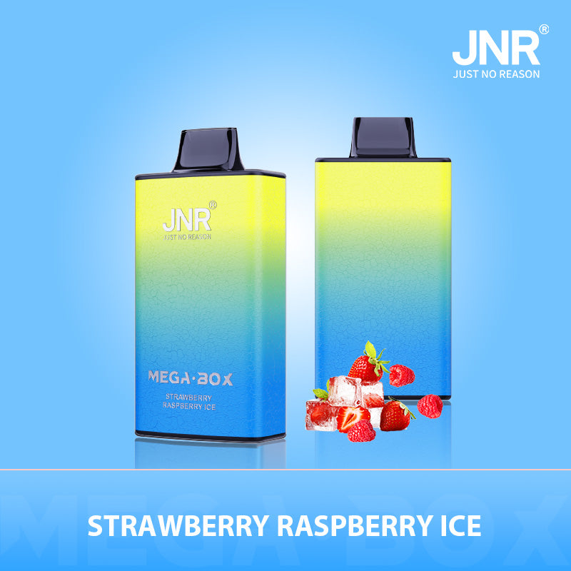 JNR Mega Box 25000 Puffs Disposable Vape（10 PCS) 20 Flavors