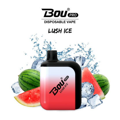 Bou Pro 7000 Kit Rechargeable