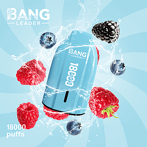Bang Leader 18K Disposable Vape – Pure Flavor | 18,000 Puffs | Porsche Design | Smooth Taste